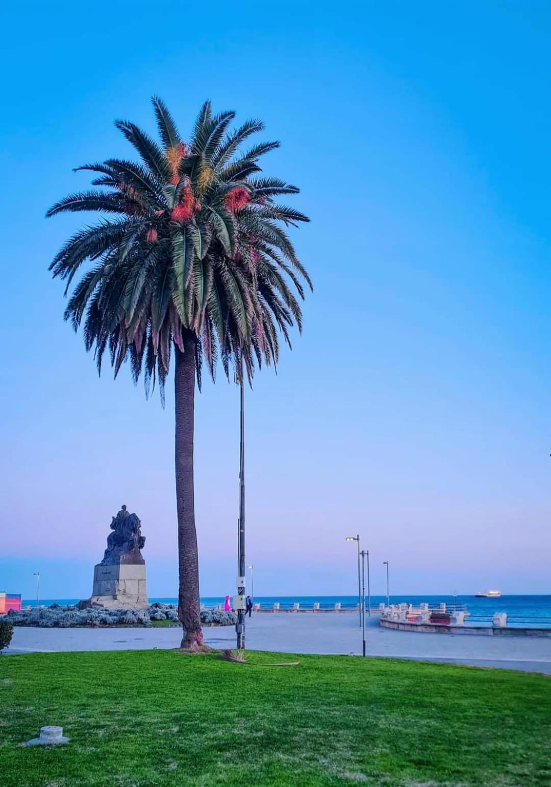 Tramonto Sul Mare - Sea Suite Savona Eksteriør bilde